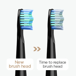 Brosse à dents électrique Fairywill FW-508 à ultrasons – Rechargeable, Minuteur, 5 Modes, Charge rapide, 8 têtes pour adultes - BLACKBEARD OUTDOOR INDUSTRIES