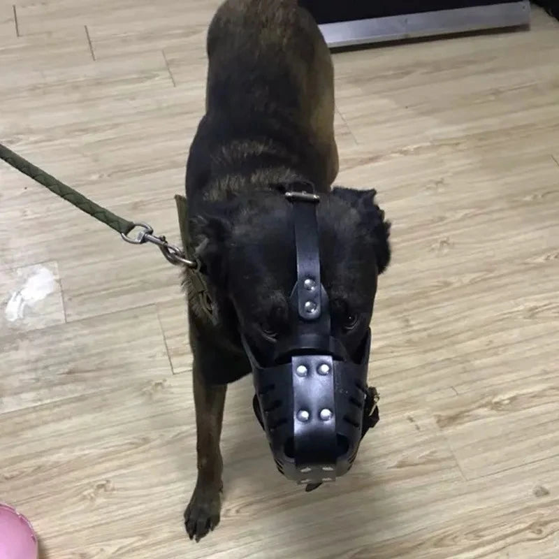 Muselière Panier en Cuir pour Chien – Anti-Morsure et Dressage | Pour Berger Allemand, Doberman, K9 Ma boutique