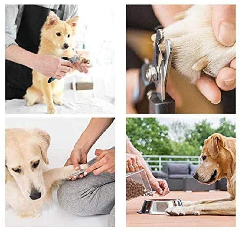 Coupe-Griffes Professionnel pour Chiens et Chats – Acier Inoxydable avec Butée de Sécurité Ma boutique