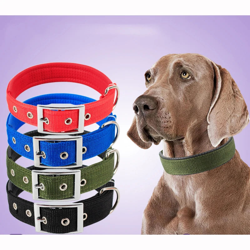 Collier pour Chien en Nylon – Solide et Confortable – Toutes Tailles et Races Ma boutique