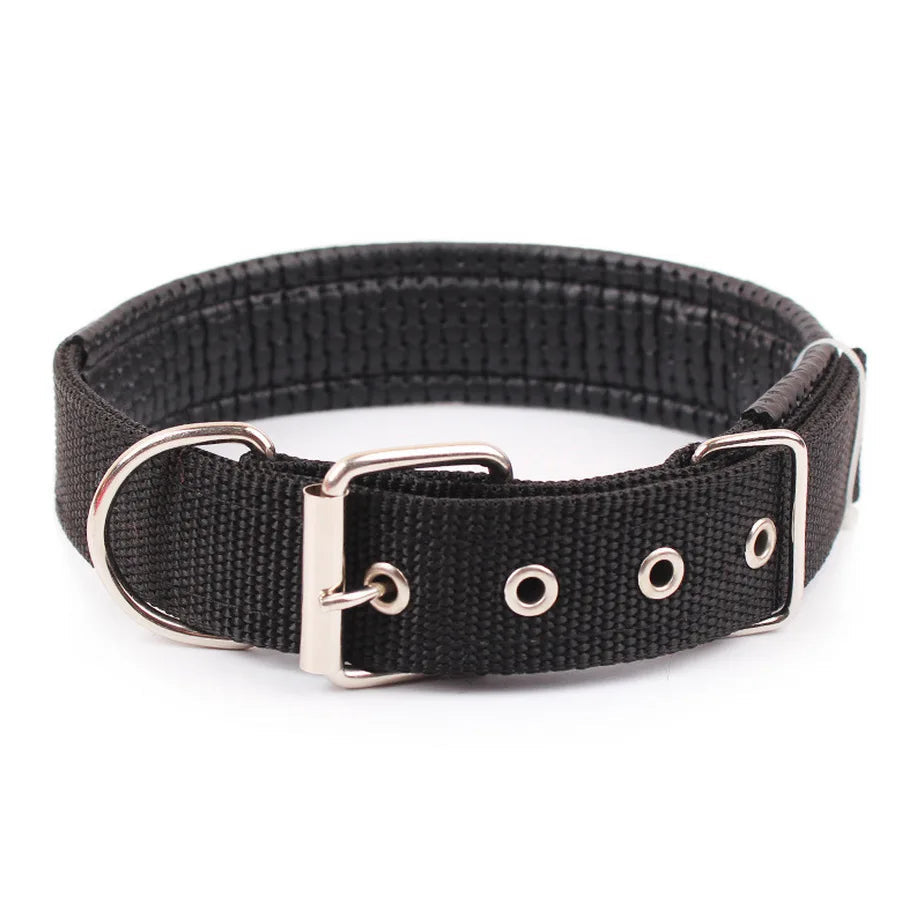 Collier pour Chien en Nylon – Solide et Confortable – Toutes Tailles et Races Ma boutique