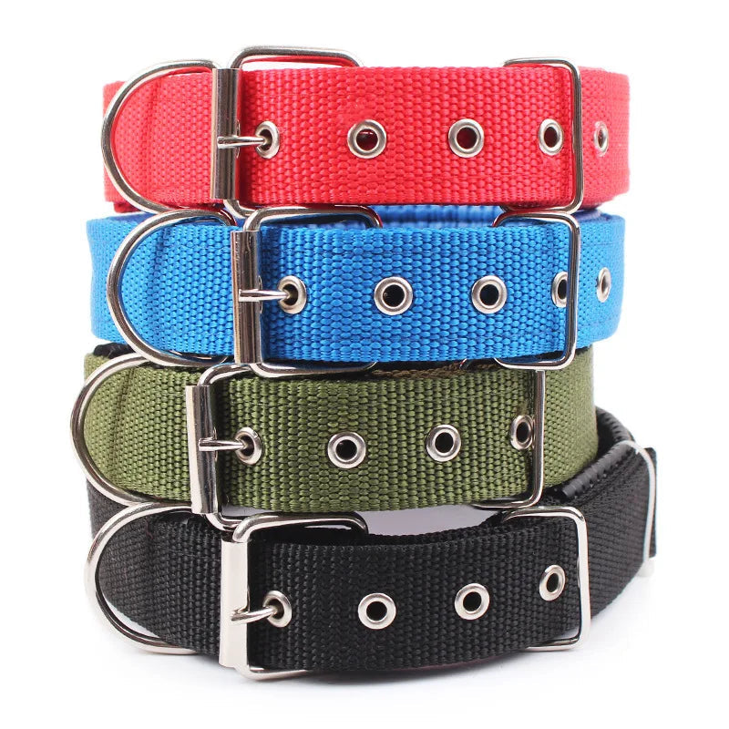 Collier pour Chien en Nylon – Solide et Confortable – Toutes Tailles et Races Ma boutique