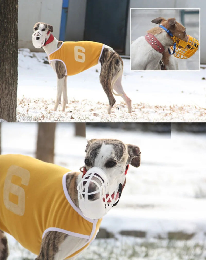 Muselière Panier Respirante pour Chien – Anti-Morsure, Anti-Aboiement, Anti-Mastication | Spéciale Lévrier, Whippet, Grand Chien Ma boutique