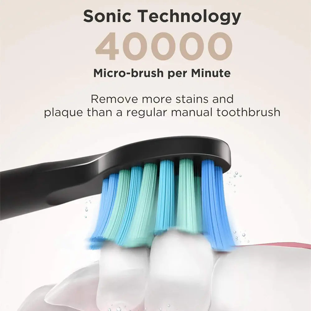 Brosse à dents électrique Fairywill FW-508 à ultrasons – Rechargeable, Minuteur, 5 Modes, Charge rapide, 8 têtes pour adultes - BLACKBEARD OUTDOOR INDUSTRIES
