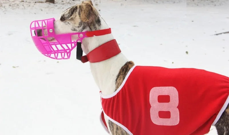 Muselière Panier Respirante pour Chien – Anti-Morsure, Anti-Aboiement, Anti-Mastication | Spéciale Lévrier, Whippet, Grand Chien Ma boutique