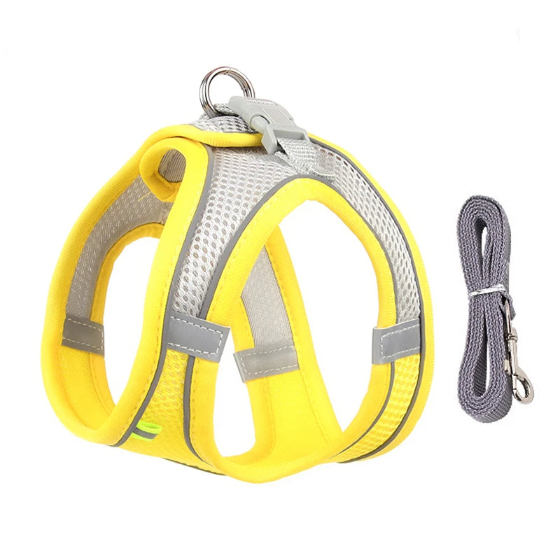Ensemble Harnais et Laisse pour Petit Chien ou Chat – Harnais Réglable en Maille Respirante avec Liseré Réfléchissant Ma boutique