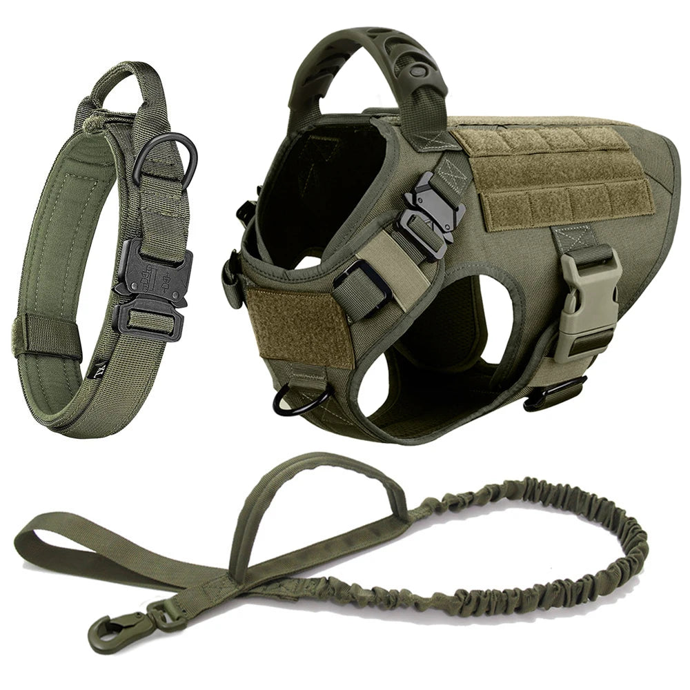 Harnais Tactique PETRAVEL pour Grand Chien – Ensemble Harnais + Collier + Laisse avec Système MOLLE Ma boutique
