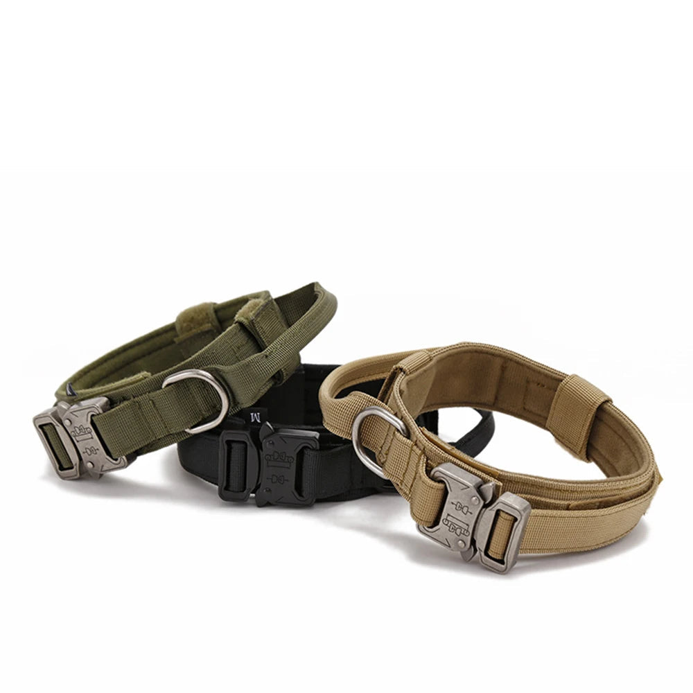 Ensemble Collier & Laisse pour Chien – Résistant, Réfléchissant et Confortable Ma boutique