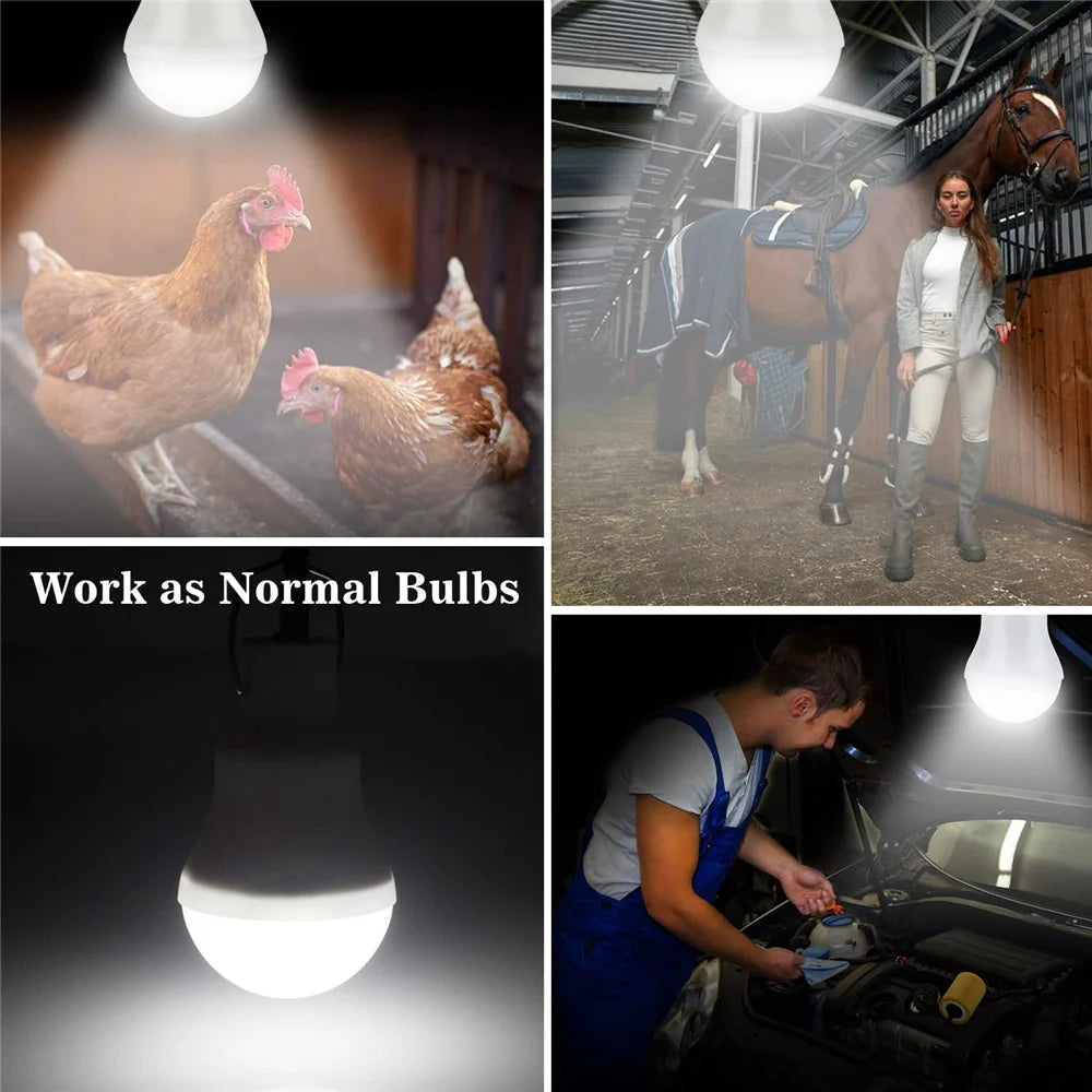 Lampe Solaire Portative à LED - Lampe Rechargeable pour Camping, Tente, Pêche Nocturne, Urgence et Énergie Solaire - BLACKBEARD OUTDOOR INDUSTRIES