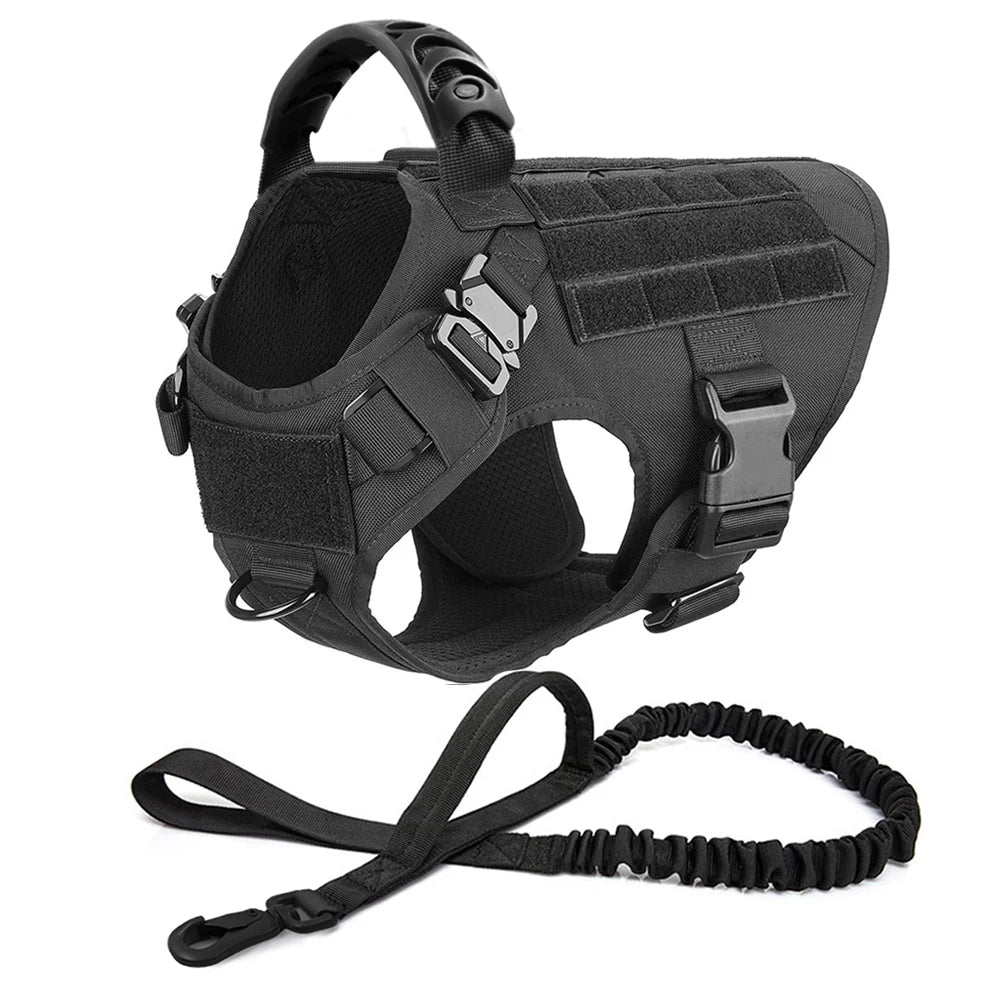 Harnais Tactique PETRAVEL pour Grand Chien – Ensemble Harnais + Collier + Laisse avec Système MOLLE Ma boutique