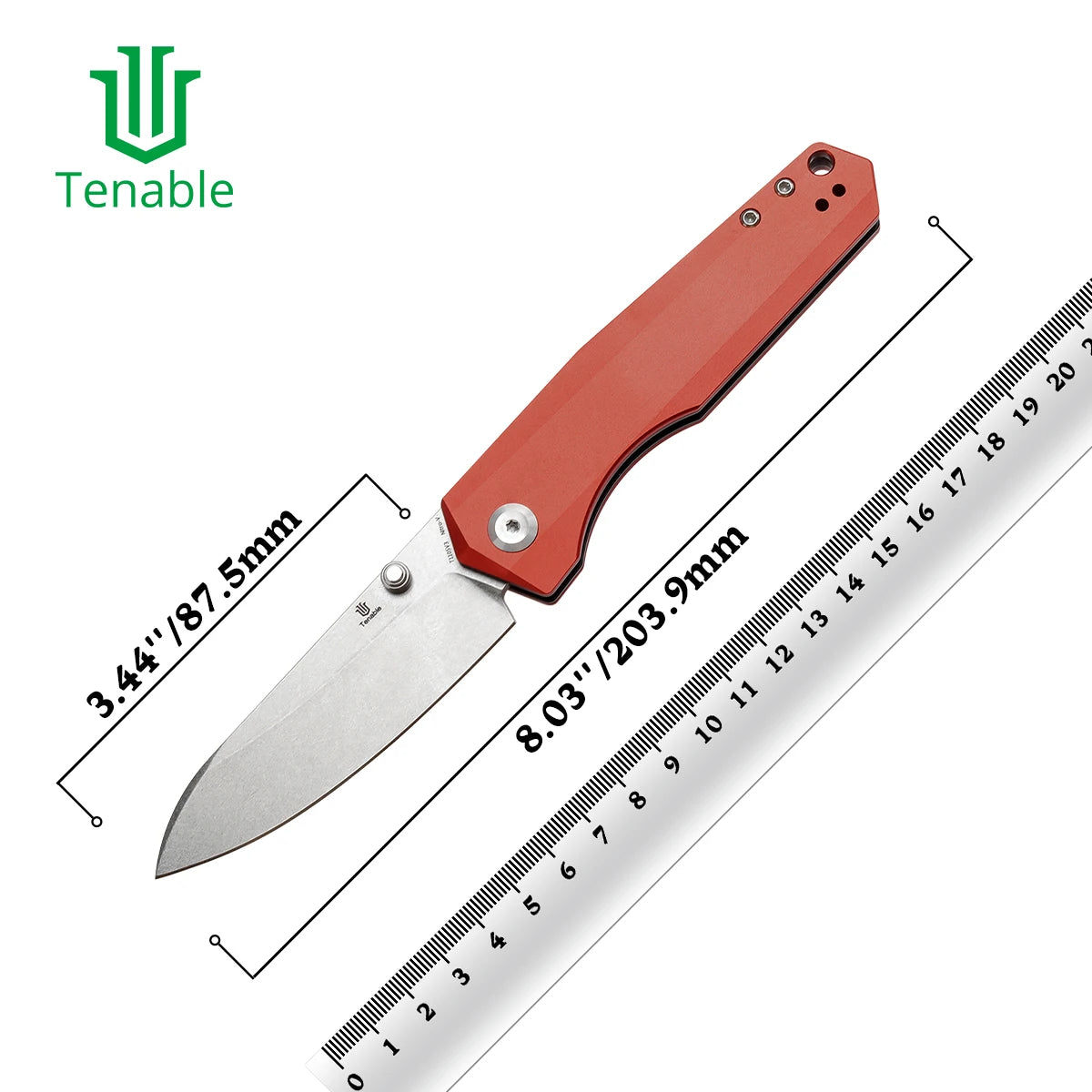 Tenable Pocket Knife Beaver T1105V – Couteau Pliant EDC Haut de Gamme par Kim Ning - BLACKBEARD OUTDOOR INDUSTRIES
