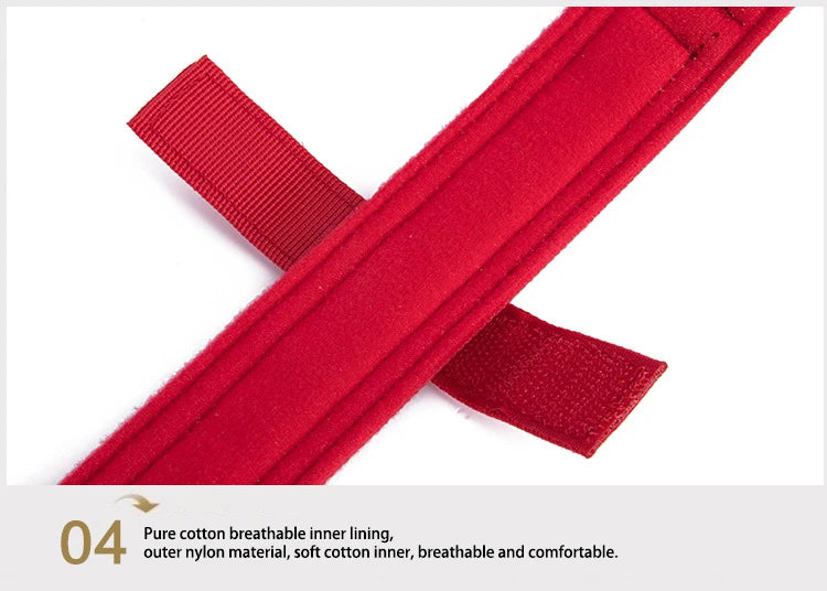 Ensemble Collier & Laisse pour Chien – Résistant, Réfléchissant et Confortable Ma boutique