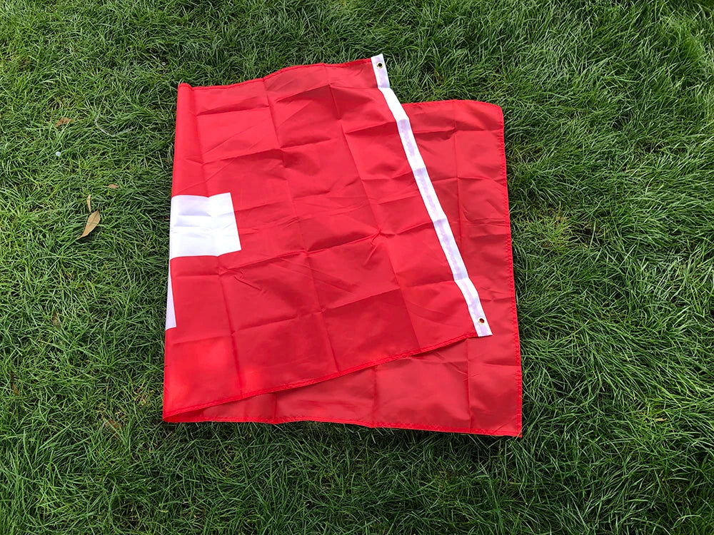 Drapeau de la Suisse - 90x150 cm - Polyester - Drapeau Suspendu pour Décoration BLACKBEARD OUTDOOR INDUSTRIES