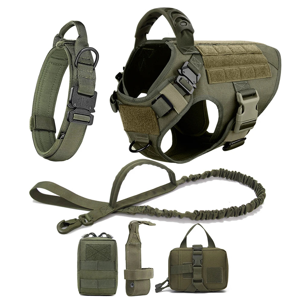 Harnais Tactique PETRAVEL pour Grand Chien – Ensemble Harnais + Collier + Laisse avec Système MOLLE Ma boutique