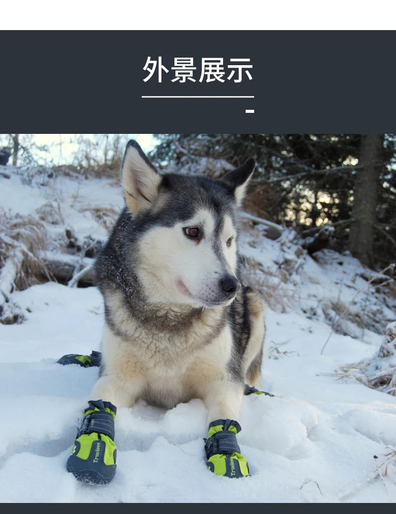 Bottes d’Hiver Antidérapantes pour Chiens – Truelove Ma boutique