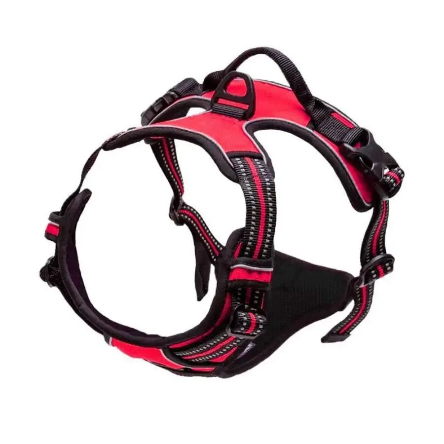 Ensemble Harnais, Collier et Laisse pour Chien – Design Élégant en Similicuir – Pour Chiens Petits et Moyens Ma boutique