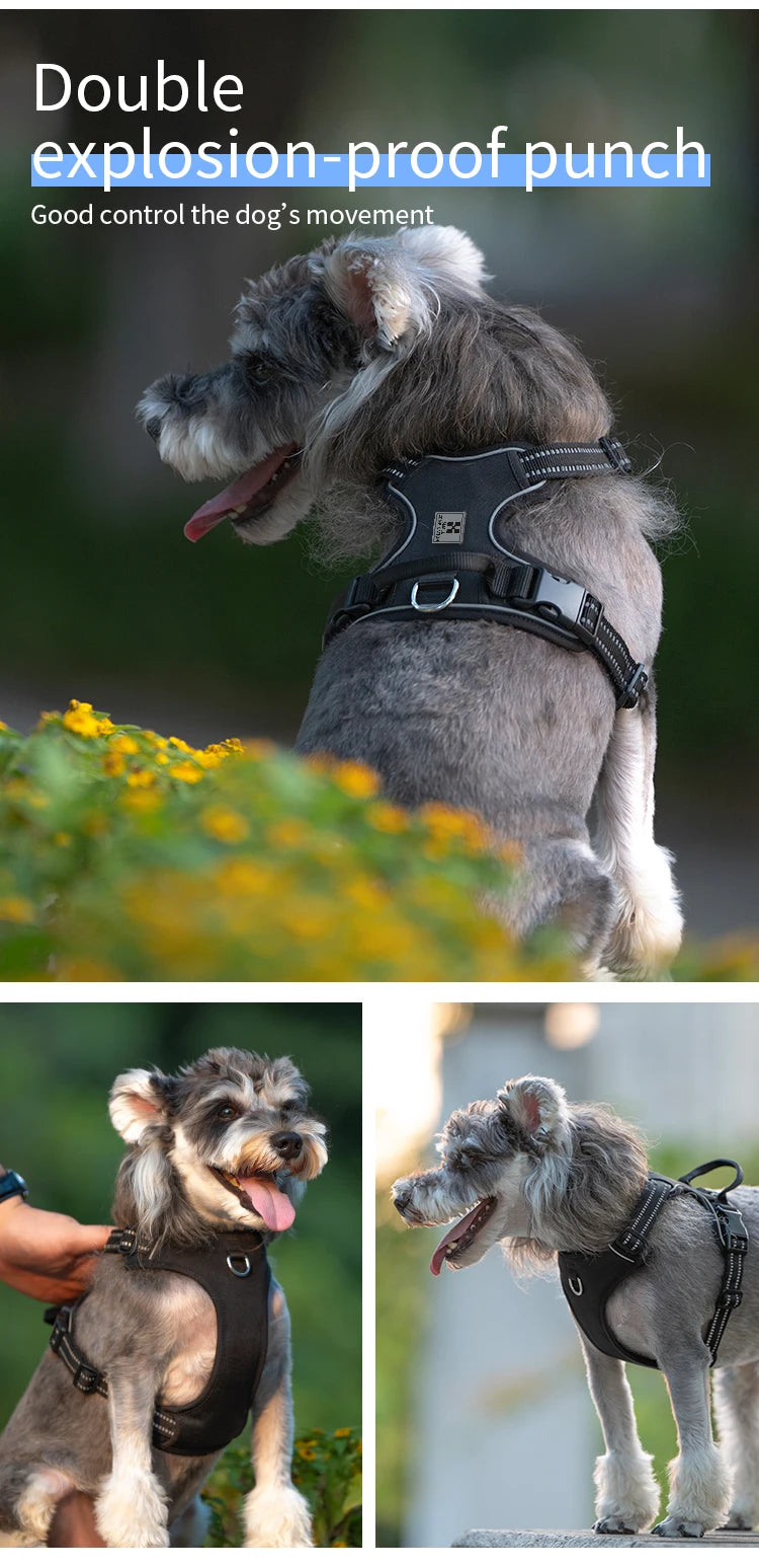 Harnais Anti-Traction Réfléchissant et Rembourré pour Chien – Ajustable pour Petits, Moyens et Grands Chiens Ma boutique