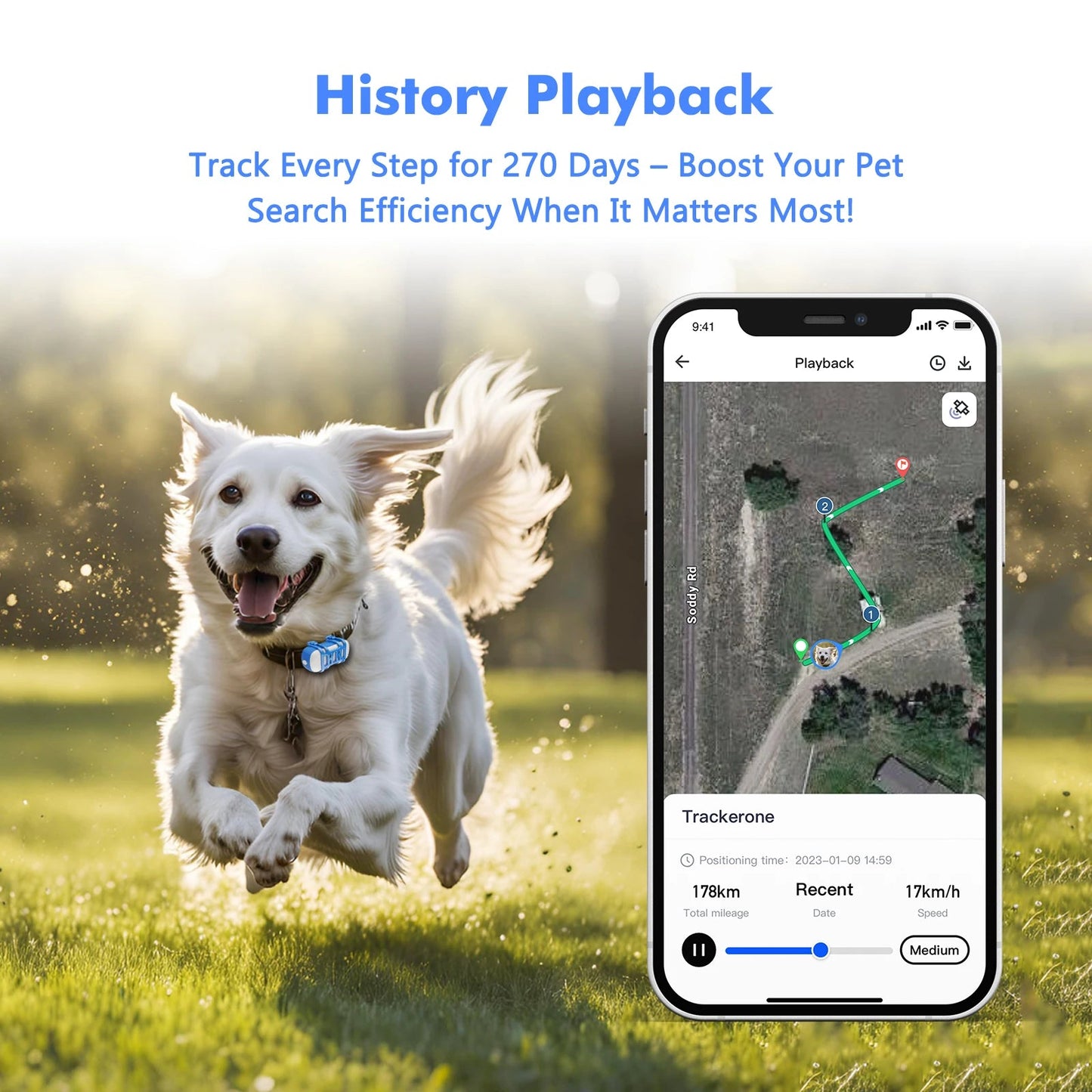 Traceur GPS 4G pour Chien & Chat – Étanche, Localisation en Temps Réel, Son/Lumière, Application Mobile Incluse Ma boutique
