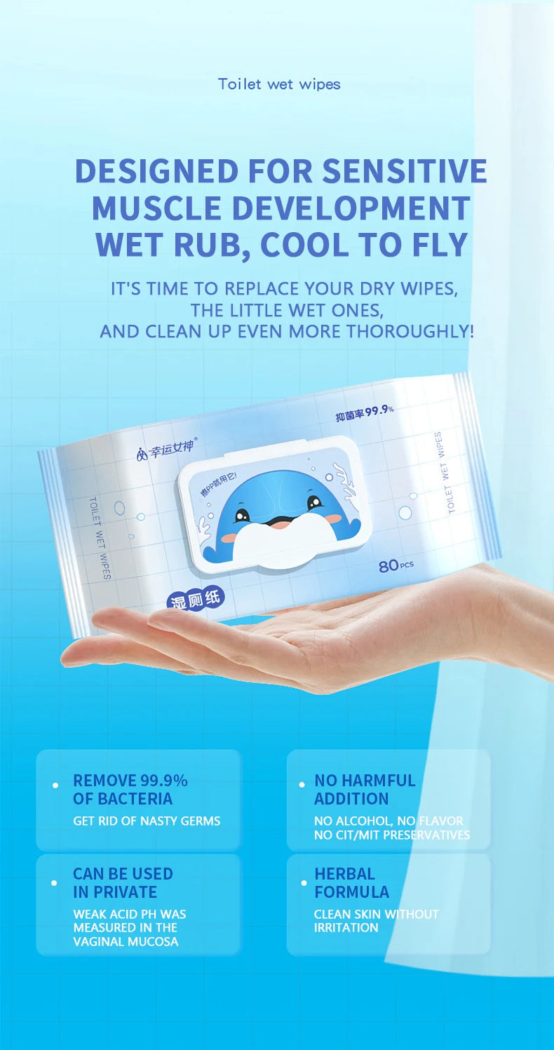 80pcs / 160pcs Wet Toilet Paper – Flushable Adult Hygiene Care Wipes - BLACKBEARD OUTDOOR INDUSTRIES