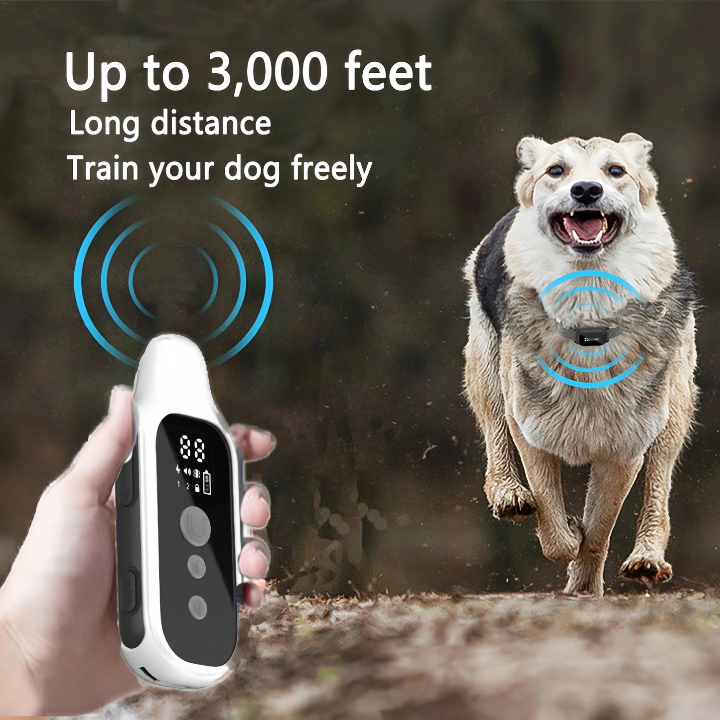 Collier de Dressage pour Chien avec Télécommande – Portée 800m Étanche • Rechargeable • Pour Petits, Moyens et Grands Chiens Ma boutique