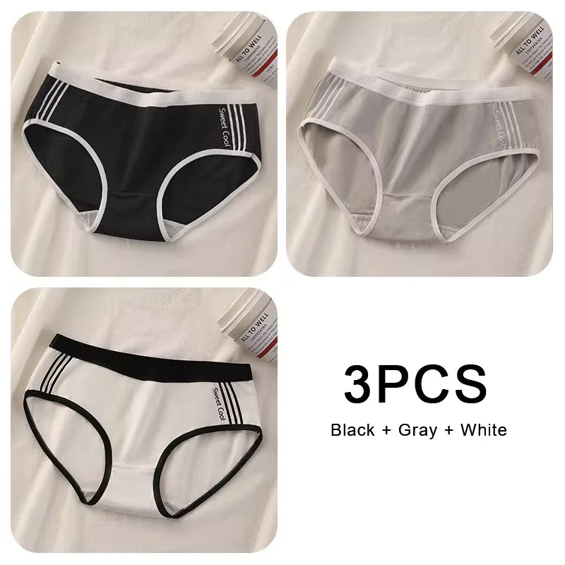 Lot de 3 Culottes Sans Coutures en Coton pour Femmes - Sous-vêtements à Taille Moyenne, Confortables et Idéales pour le Sport - BLACKBEARD OUTDOOR INDUSTRIES