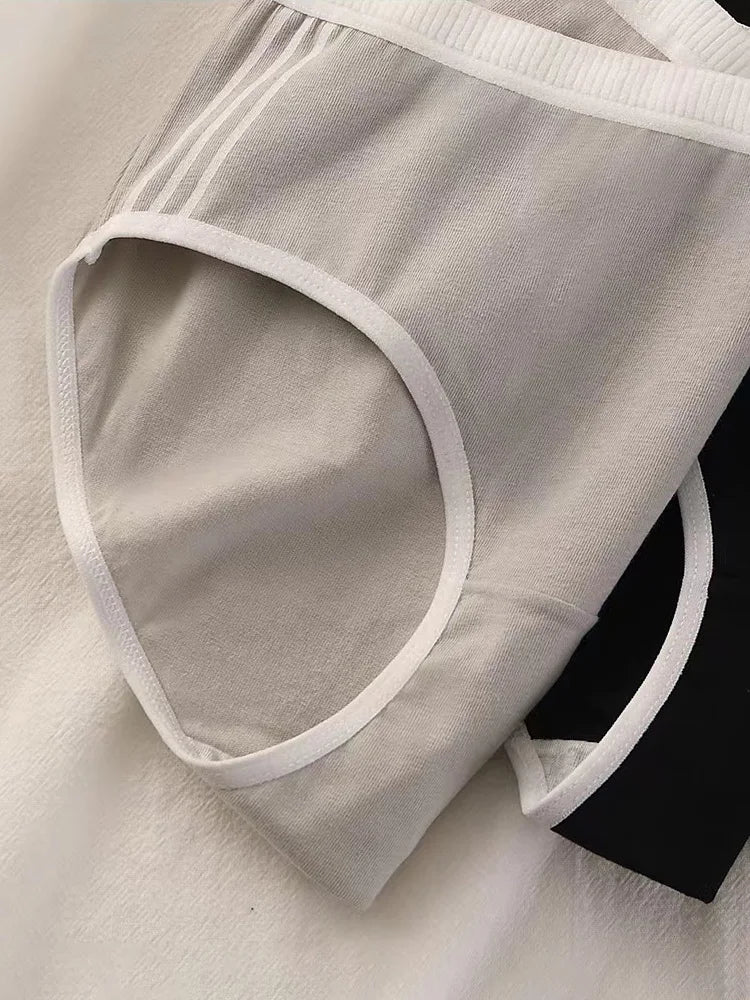 Lot de 3 Culottes Sans Coutures en Coton pour Femmes - Sous-vêtements à Taille Moyenne, Confortables et Idéales pour le Sport - BLACKBEARD OUTDOOR INDUSTRIES