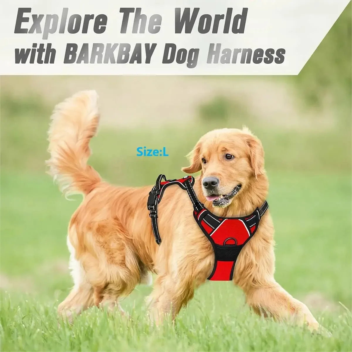 Ensemble Harnais, Collier et Laisse pour Chien – Design Élégant en Similicuir – Pour Chiens Petits et Moyens Ma boutique