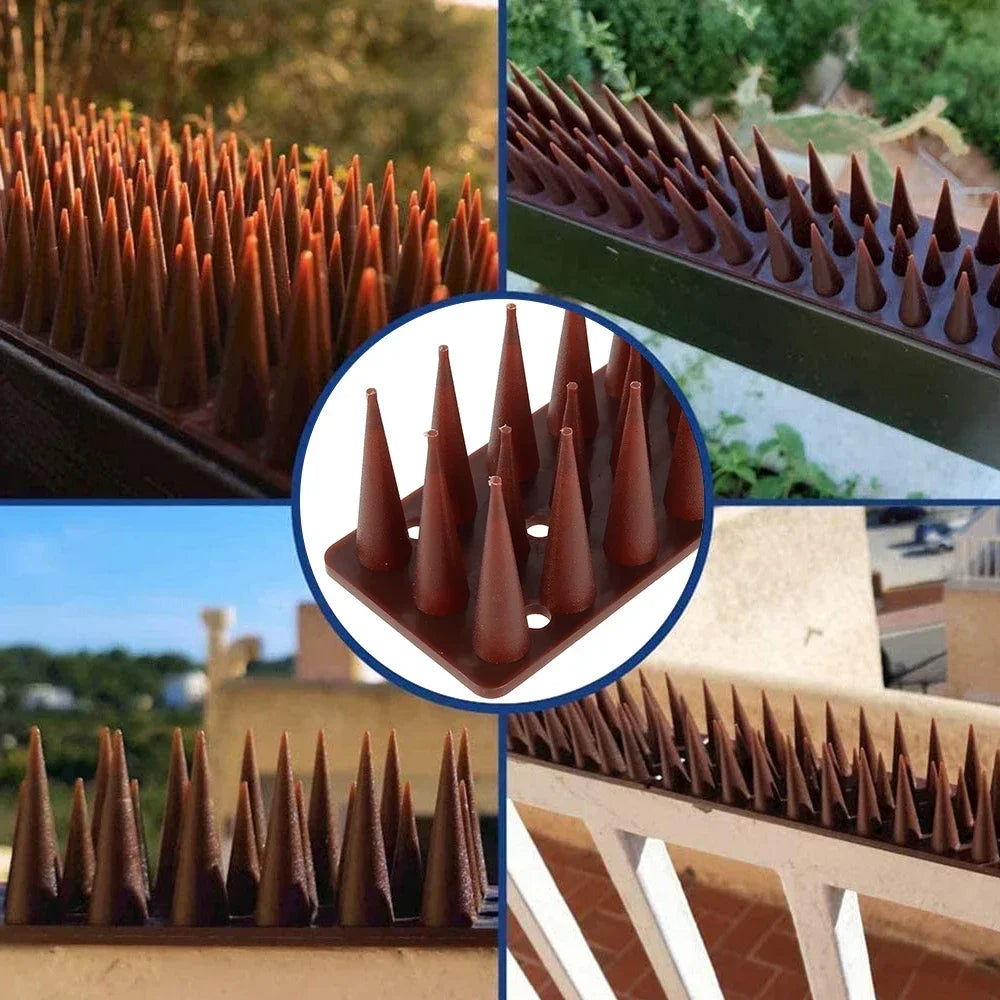 12 Pièces – Pointes Anti-Oiseaux et Anti-Grimpe en Plastique et Acier Inoxydable - BLACKBEARD OUTDOOR INDUSTRIES