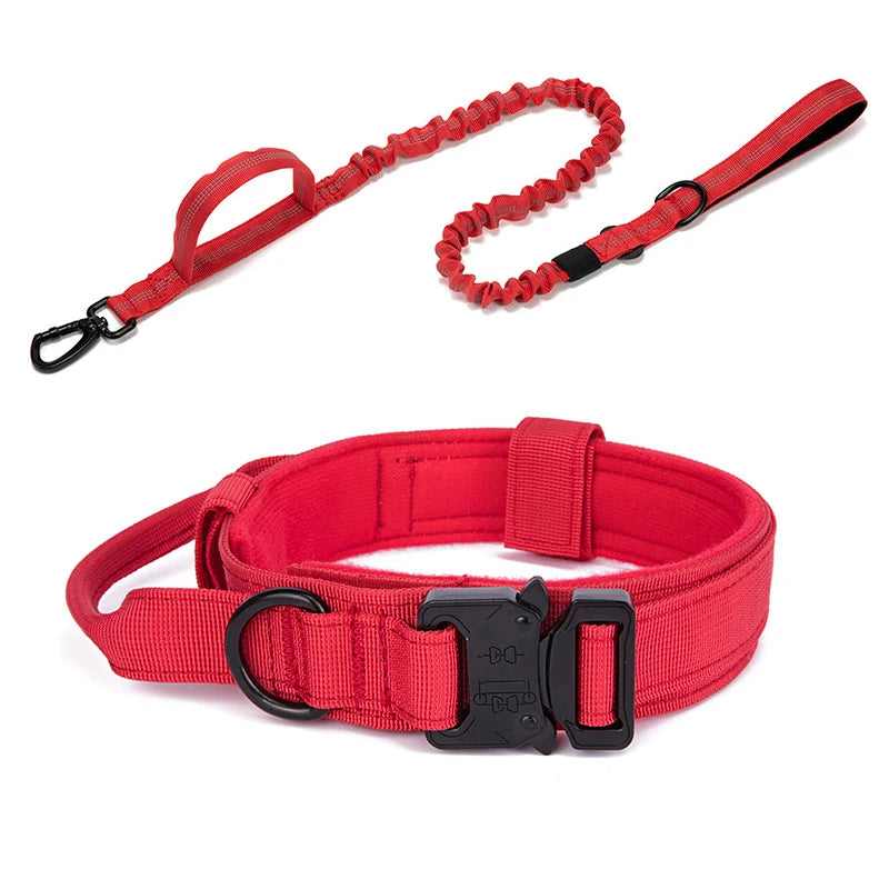 Ensemble Collier & Laisse pour Chien – Résistant, Réfléchissant et Confortable Ma boutique