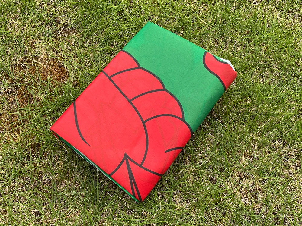 Drapeau du Pays de Galles (Wales) – 90x150 cm – Polyester – Drapeau du Dragon Rouge BLACKBEARD OUTDOOR INDUSTRIES