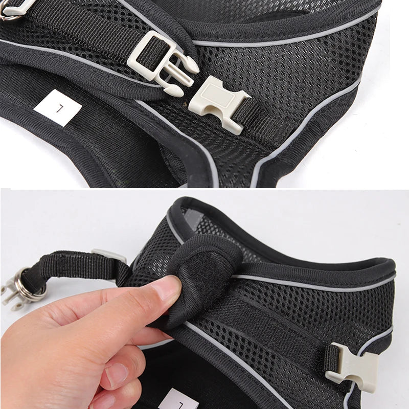 Ensemble Harnais et Laisse pour Petit Chien ou Chat – Harnais Réglable en Maille Respirante avec Liseré Réfléchissant Ma boutique