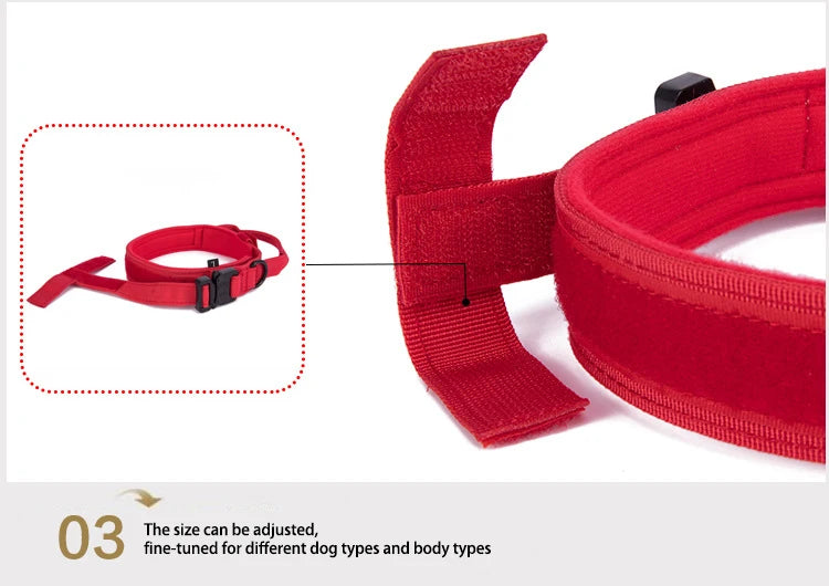 Ensemble Collier & Laisse pour Chien – Résistant, Réfléchissant et Confortable Ma boutique