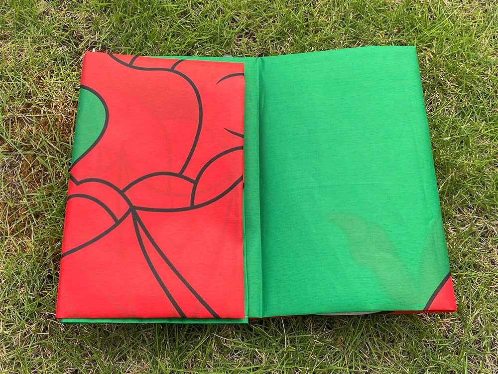 Drapeau du Pays de Galles (Wales) – 90x150 cm – Polyester – Drapeau du Dragon Rouge BLACKBEARD OUTDOOR INDUSTRIES