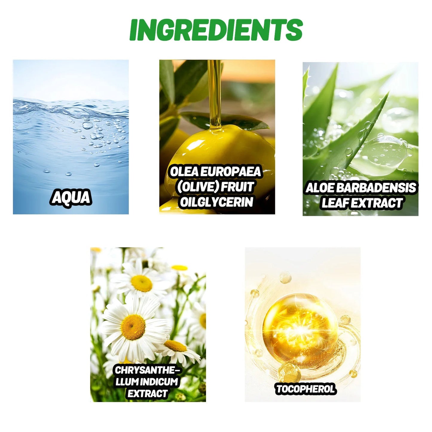 Masque pour Pieds à l'Aloe Vera - Hydratation, Exfoliation et Réparation des Pieds Sèches, Anti-Fissures - Soin de la Peau des Pieds BLACKBEARD OUTDOOR INDUSTRIES