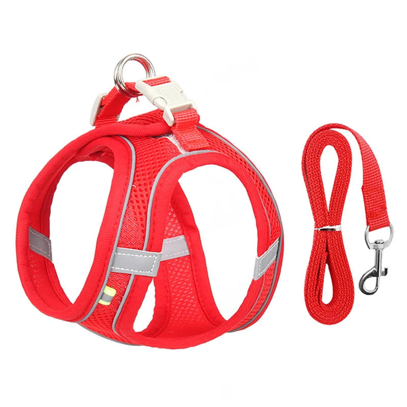 Ensemble Harnais et Laisse pour Petit Chien ou Chat – Harnais Réglable en Maille Respirante avec Liseré Réfléchissant Ma boutique