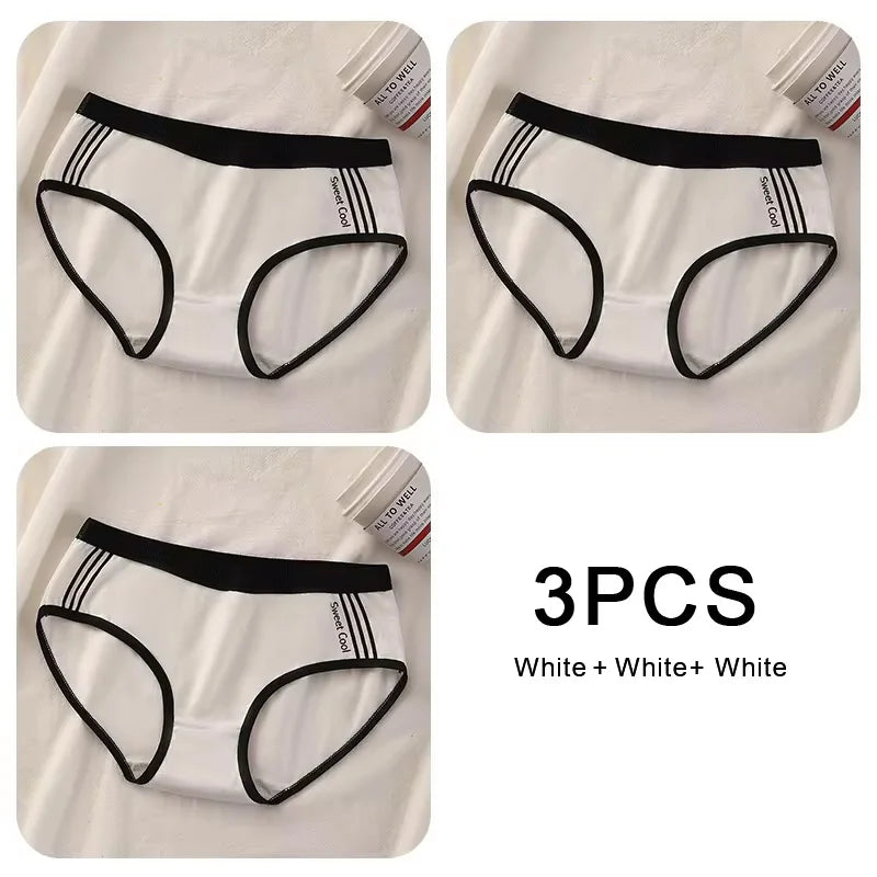 Lot de 3 Culottes Sans Coutures en Coton pour Femmes - Sous-vêtements à Taille Moyenne, Confortables et Idéales pour le Sport - BLACKBEARD OUTDOOR INDUSTRIES