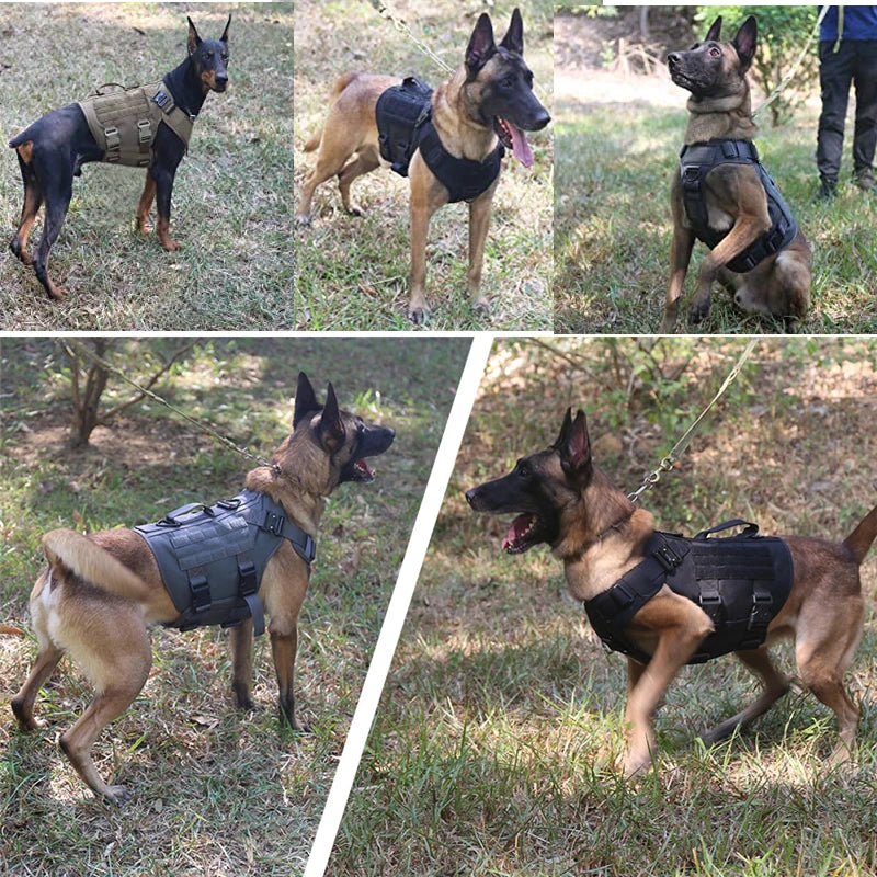 Harnais Tactique Militaire pour Chien – COOYOMOO Ma boutique