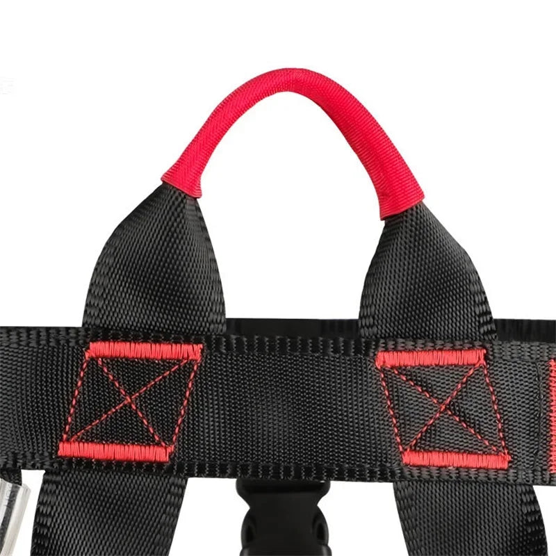 Harnais d’Escalade Outdoor – Protection Sécurité Demi-Corps avec Support Taille - BLACKBEARD OUTDOOR INDUSTRIES