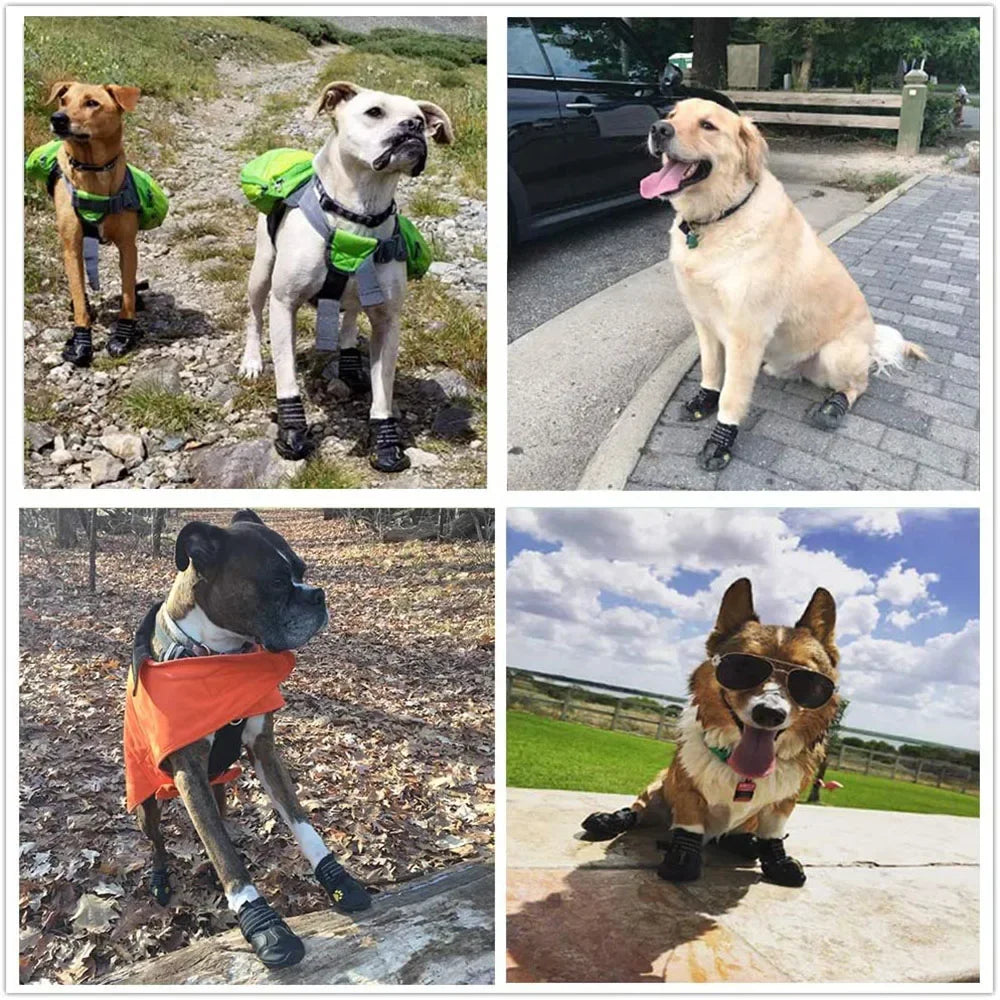 Chaussures pour Chien Imperméables – Antidérapantes | Protection Patte Été & Hiver (4 pièces) Ma boutique