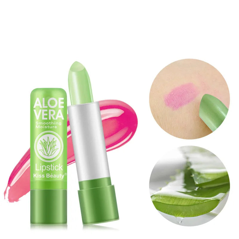 Lot de 12 Baumes à Lèvres Teintés – Aloe Vera & Huiles Naturelles - BLACKBEARD OUTDOOR INDUSTRIES