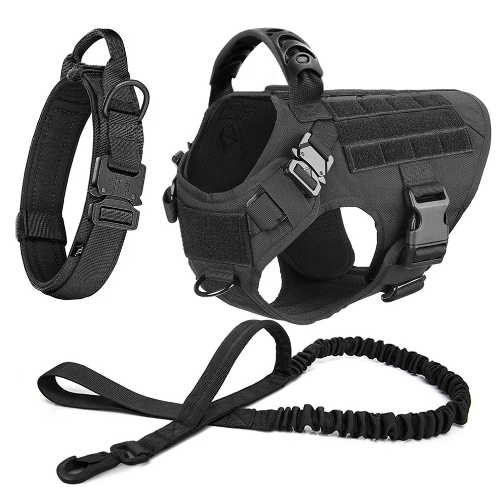 Harnais Tactique PETRAVEL pour Grand Chien – Ensemble Harnais + Collier + Laisse avec Système MOLLE Ma boutique