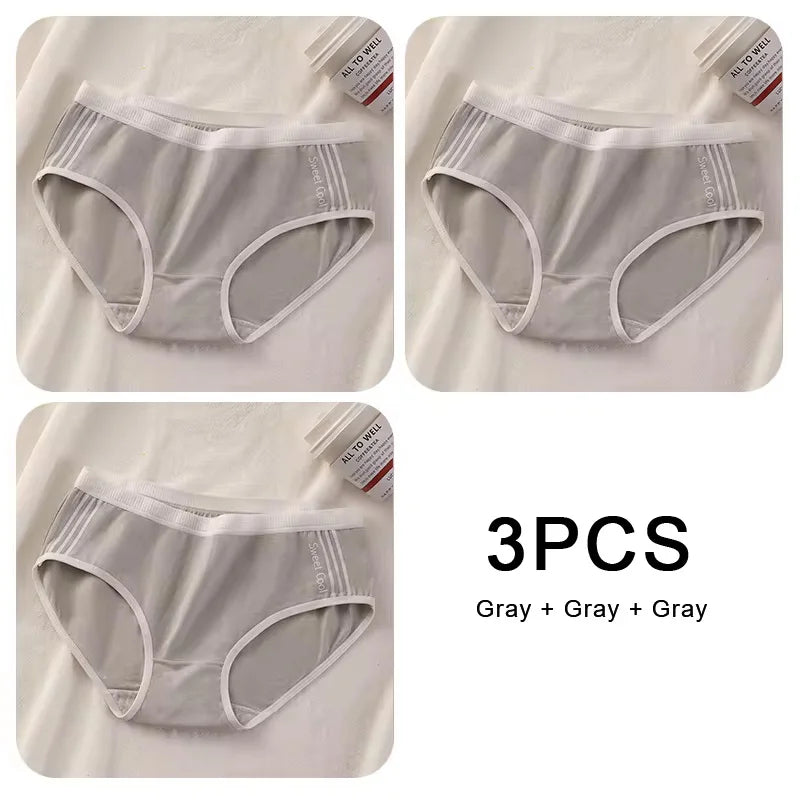 Lot de 3 Culottes Sans Coutures en Coton pour Femmes - Sous-vêtements à Taille Moyenne, Confortables et Idéales pour le Sport - BLACKBEARD OUTDOOR INDUSTRIES