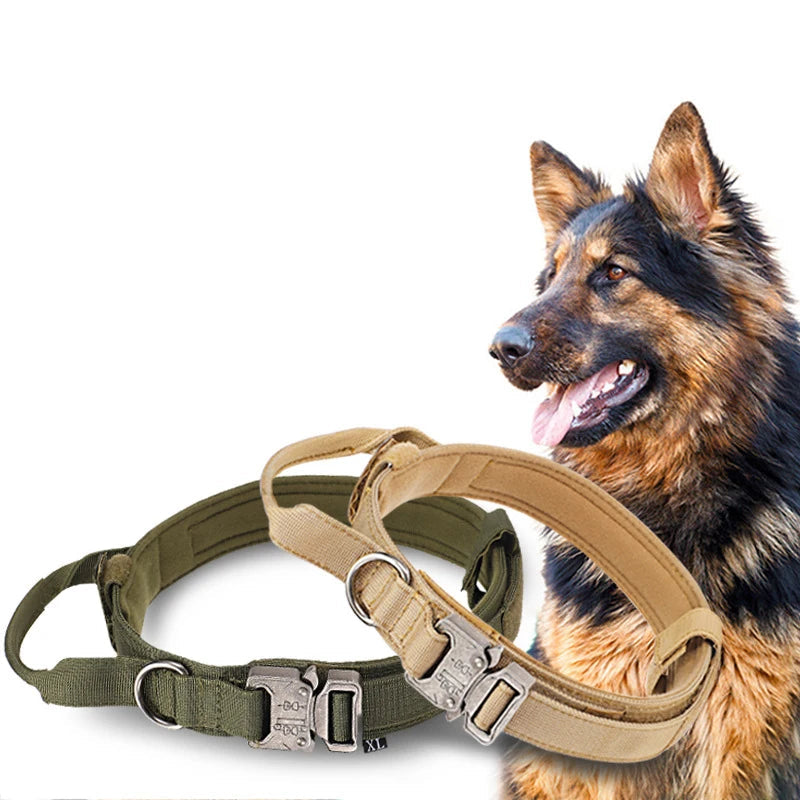 Ensemble Collier & Laisse pour Chien – Résistant, Réfléchissant et Confortable Ma boutique