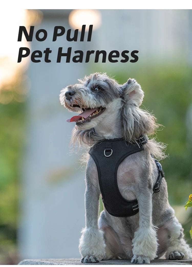 Harnais Anti-Traction Réfléchissant et Rembourré pour Chien – Ajustable pour Petits, Moyens et Grands Chiens Ma boutique
