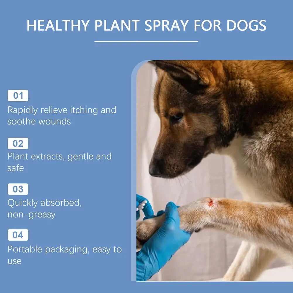 Spray de Soins pour Animaux - Réparation de Peau, Traitement des Démangeaisons et des Plaies - 100ml - BLACKBEARD OUTDOOR INDUSTRIES