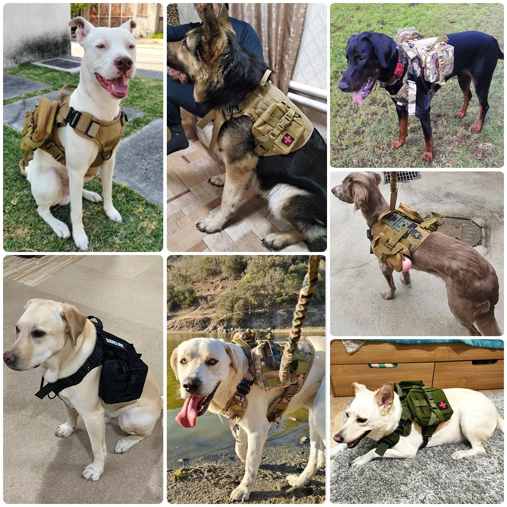 Harnais Tactique Militaire pour Grands Chiens – Harnais de Dressage Renforcé avec Poignée, Boucles Métalliques et Molle – Spécial Malinois, Berger Allemand, Bouledogue Français Ma boutique