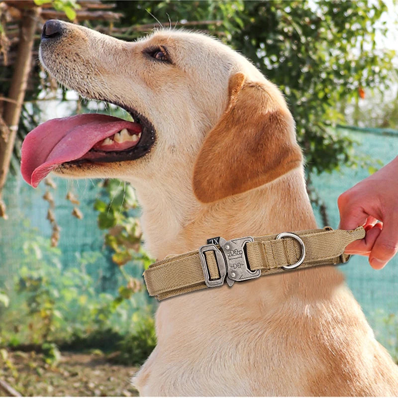 Ensemble Collier & Laisse pour Chien – Résistant, Réfléchissant et Confortable Ma boutique
