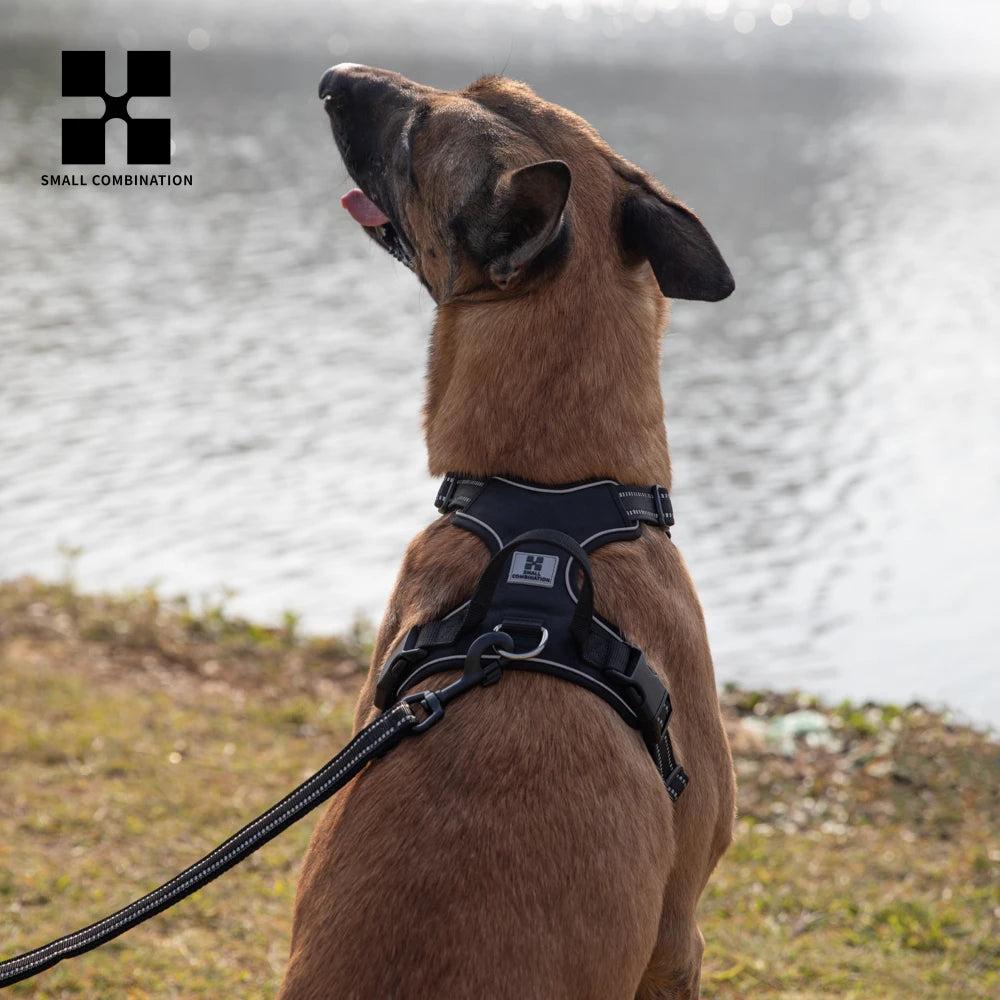 Harnais Anti-Traction Réfléchissant et Rembourré pour Chien – Ajustable pour Petits, Moyens et Grands Chiens Ma boutique