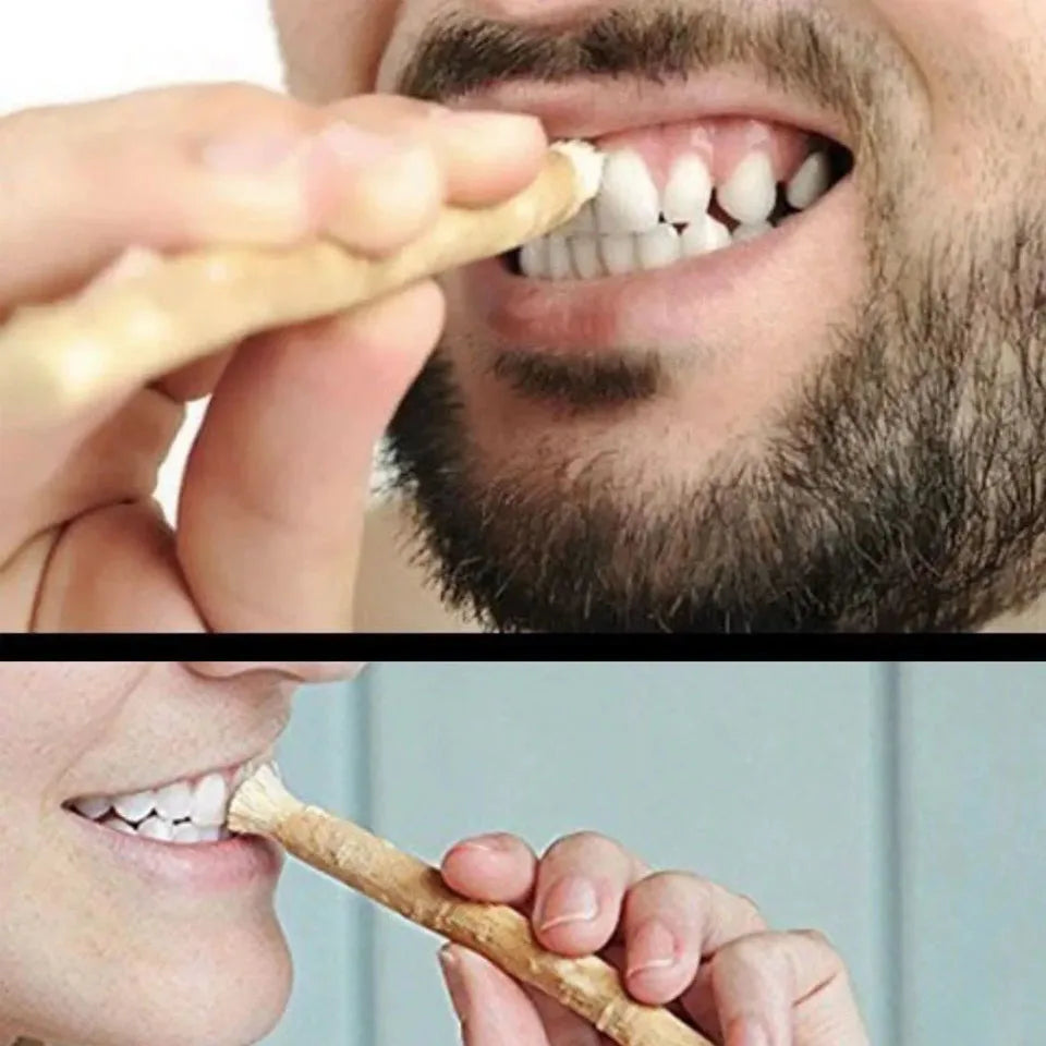 Miswak Sewak Stick – Brosse à Dents Naturelle Traditionnelle 10 PCS - BLACKBEARD OUTDOOR INDUSTRIES
