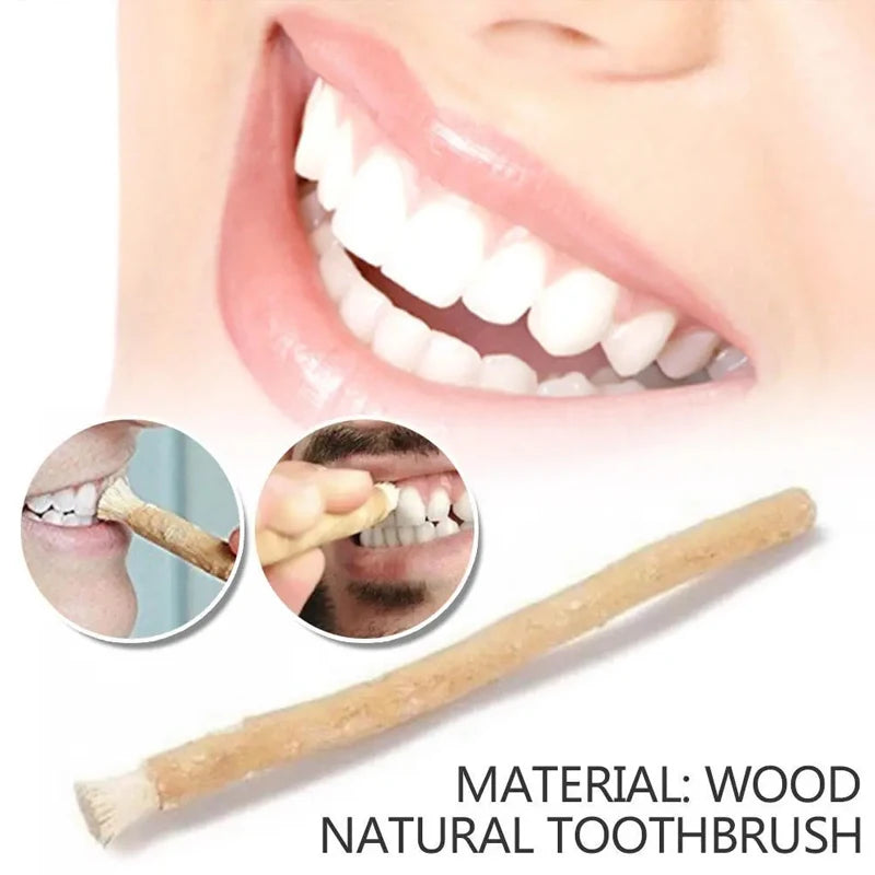 Miswak Sewak Stick – Brosse à Dents Naturelle Traditionnelle 10 PCS - BLACKBEARD OUTDOOR INDUSTRIES
